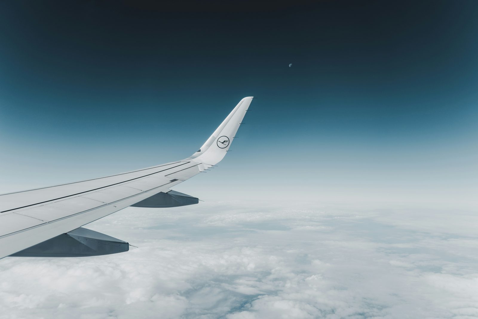飛行機の翼と雲海